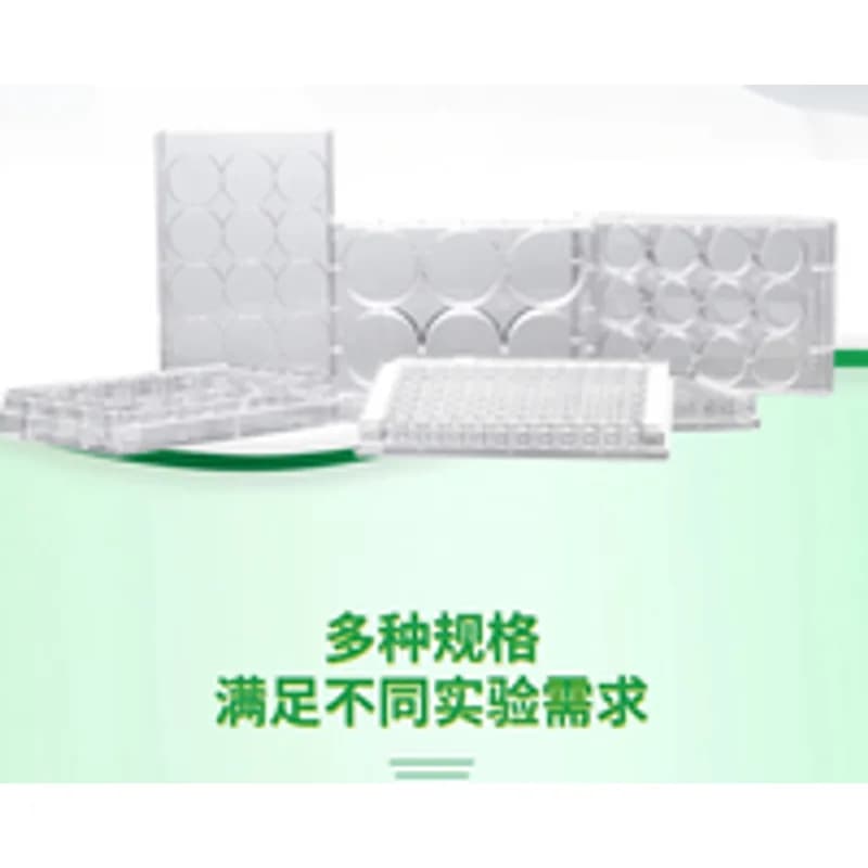 细胞耗材·生物耗材·分子耗材-细胞培养板-科邦实验室