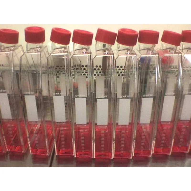 生命科学·生物制药·体外诊断-胎牛血清-科邦实验室