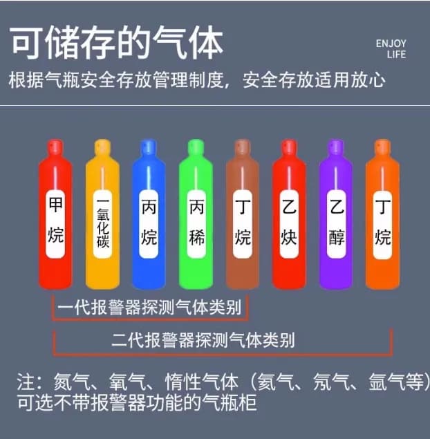 气瓶柜_图2_科邦实验室